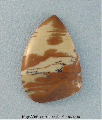 Owyhee Jasper