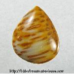 Palmwood Cabochon Palmwood Cabochon