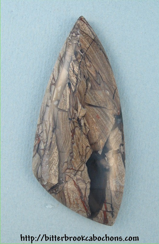 Opalized Petrified Wood