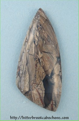 Opalized Petrified Wood