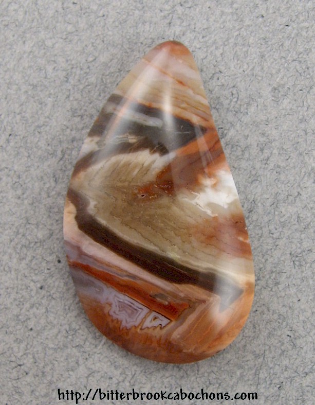 Petrified Wood