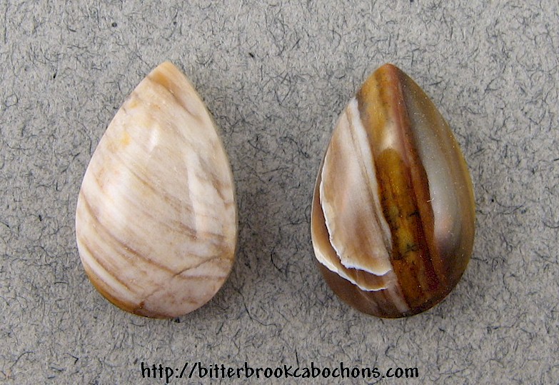 Petrified Wood Pair