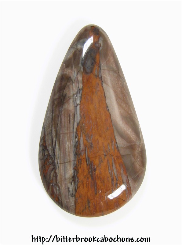 Petrified Wood