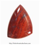 Petrified Wood Petrified Wood