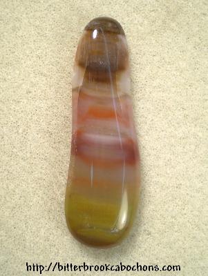 Petrified Wood Cabochon