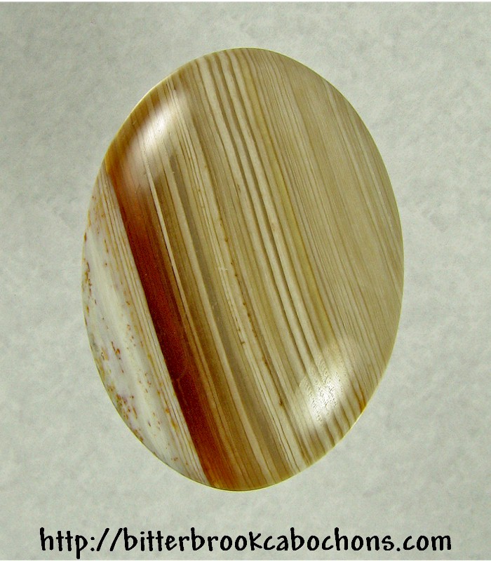 Petrified Wood Cabochon
