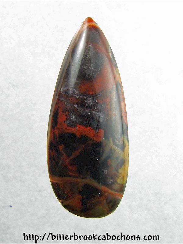 Petrified Wood Cabochon