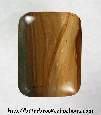 Petrified Wood Cabochon