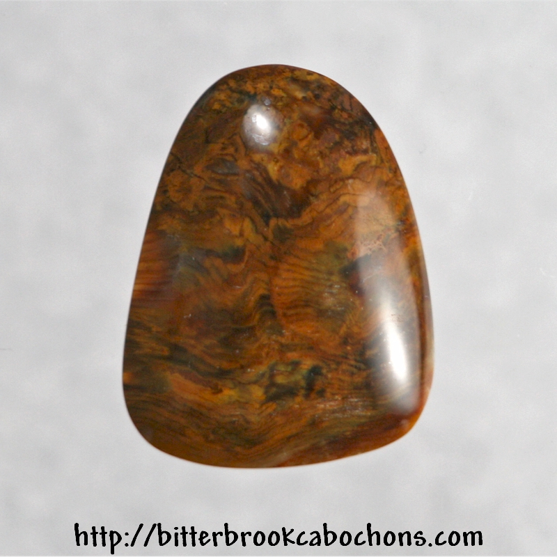 Petrified Wood Cabochon