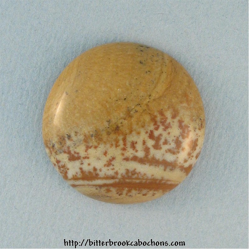 Picture Jasper