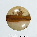 Picture Jasper Cabochon Picture Jasper Cabochon