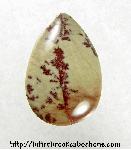 Picture Jasper Cabochon Picture Jasper Cabochon