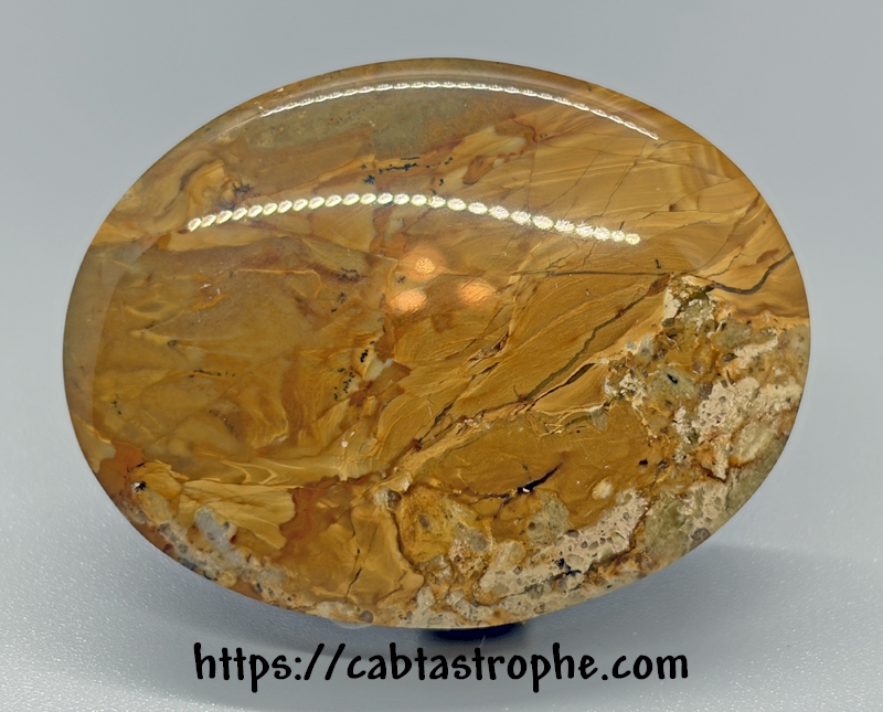 Picture Jasper Cabochon