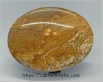 Picture Jasper Cabochon