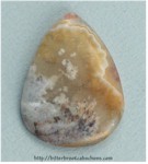 Plume Agate Plume Agate