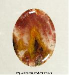 Plume Agate Cabochon Plume Agate Cabochon