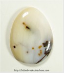 Polkadot Jasper Polkadot Jasper