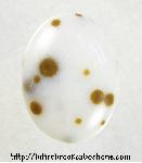 Polkadot Jasper Cabochon Polkadot Jasper Cabochon