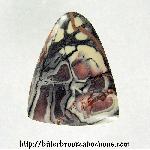 Porcelain Jasper Cabochon Porcelain Jasper Cabochon