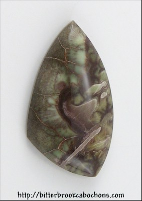Rainforest Jasper