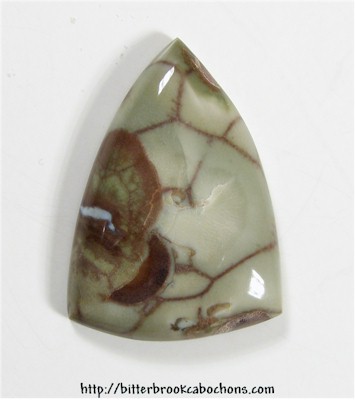 Rainforest Jasper