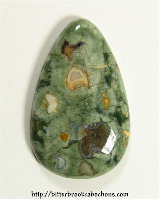 Rainforest Jasper
