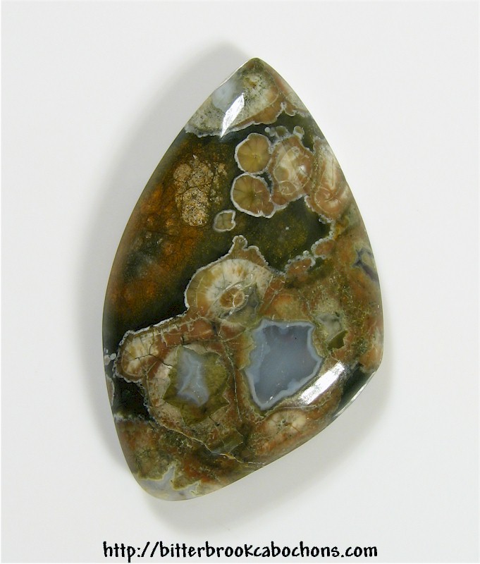 Rainforest Jasper