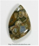 Rainforest Jasper Rainforest Jasper