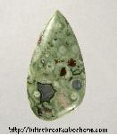 Rainforest Jasper Cabochon Rainforest Jasper Cabochon