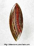 Striped Jasper Cabochon Striped Jasper Cabochon