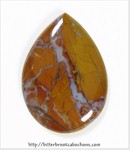 Stone Canyon Jasper Stone Canyon Jasper