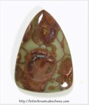 Spiderweb Jasper Spiderweb Jasper