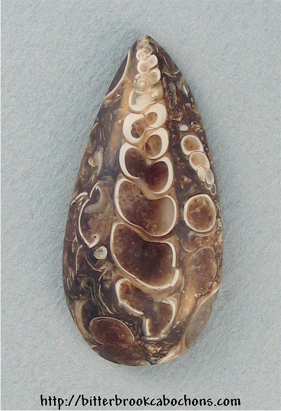 Turritella Jasper Cabochon