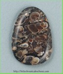 Turritella Jasper Turritella Jasper