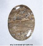 Turritella Jasper Cabochon Turritella Jasper Cabochon