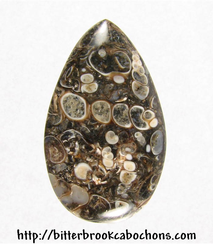 Turritella Jasper Cabochon