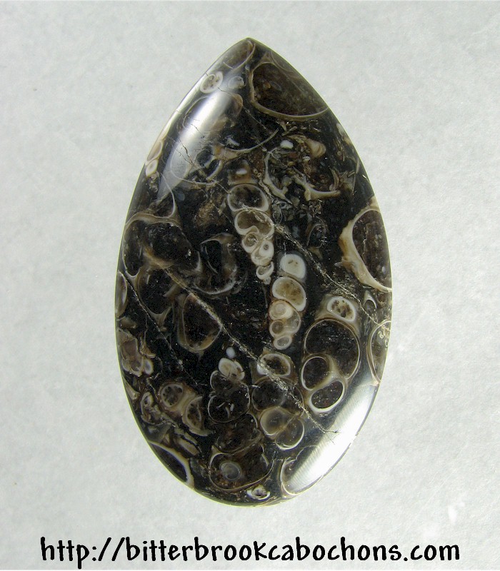 Turritella Jasper Cabochon