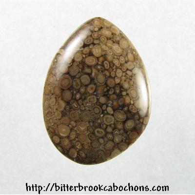 Unknown Stone Cabochon