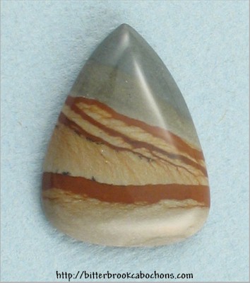 Wild Horse Picture Jasper Cabochon