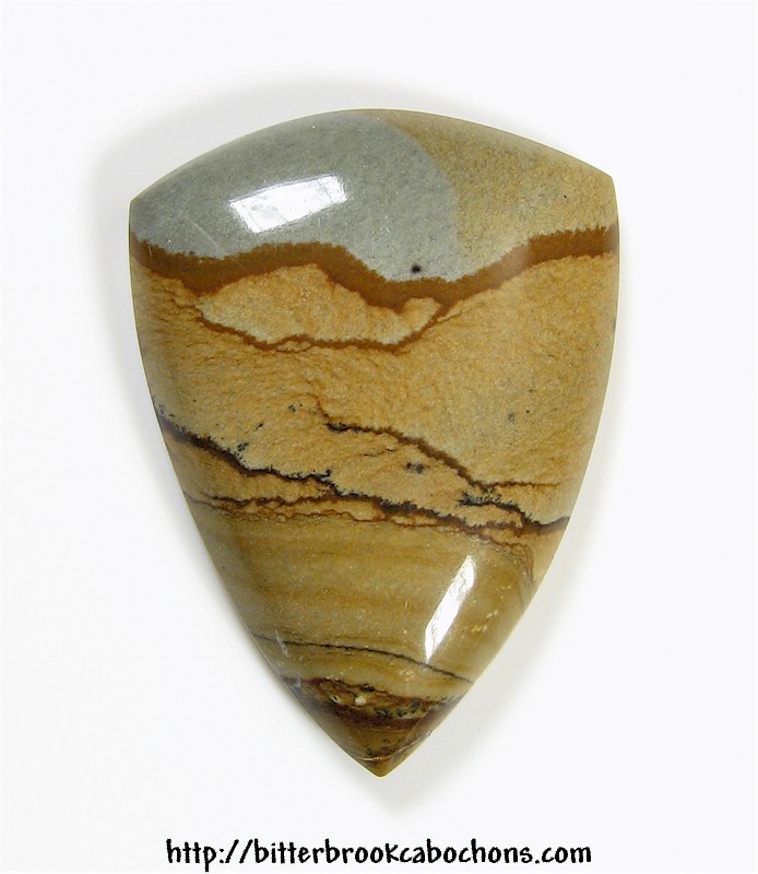 Wild Horse Picture Jasper Cabochon