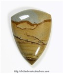 Wild Horse Picture Jasper Cabochon Wild Horse Picture Jasper Cabochon