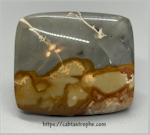 Wild Horse Picture Jasper Cabochon Wild Horse Picture Jasper Cabochon